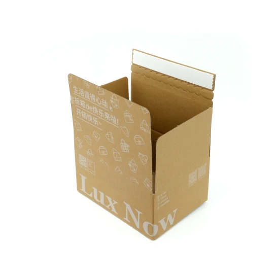 in Stock Heavy Duty Cardboard Moving Boxes Corrugated Wardrobe Big and Small Storage Carton Box